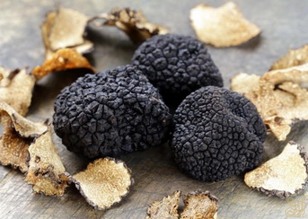 Sagra del tartufo nero