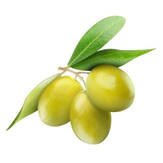 L'olio di Sasso Marconi premiato a un concorso nazionale